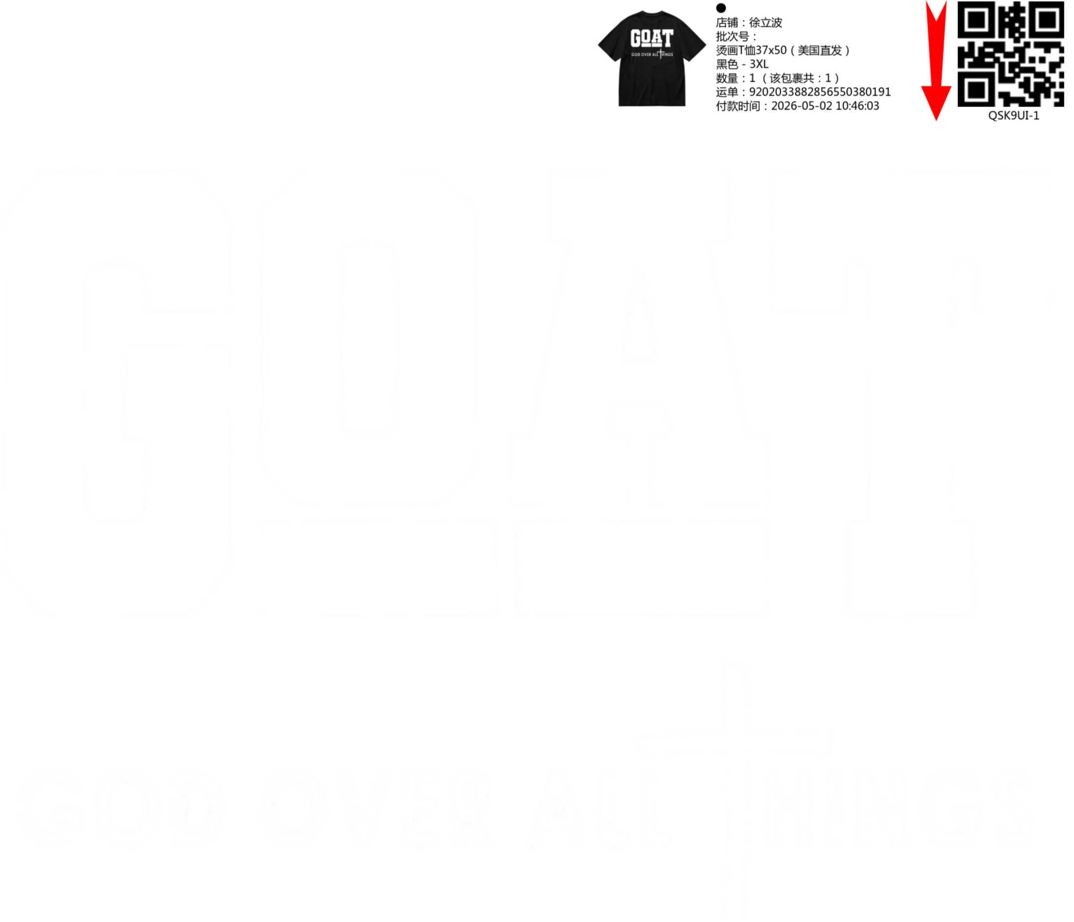 Short Sleeves Graphic T-Shirt