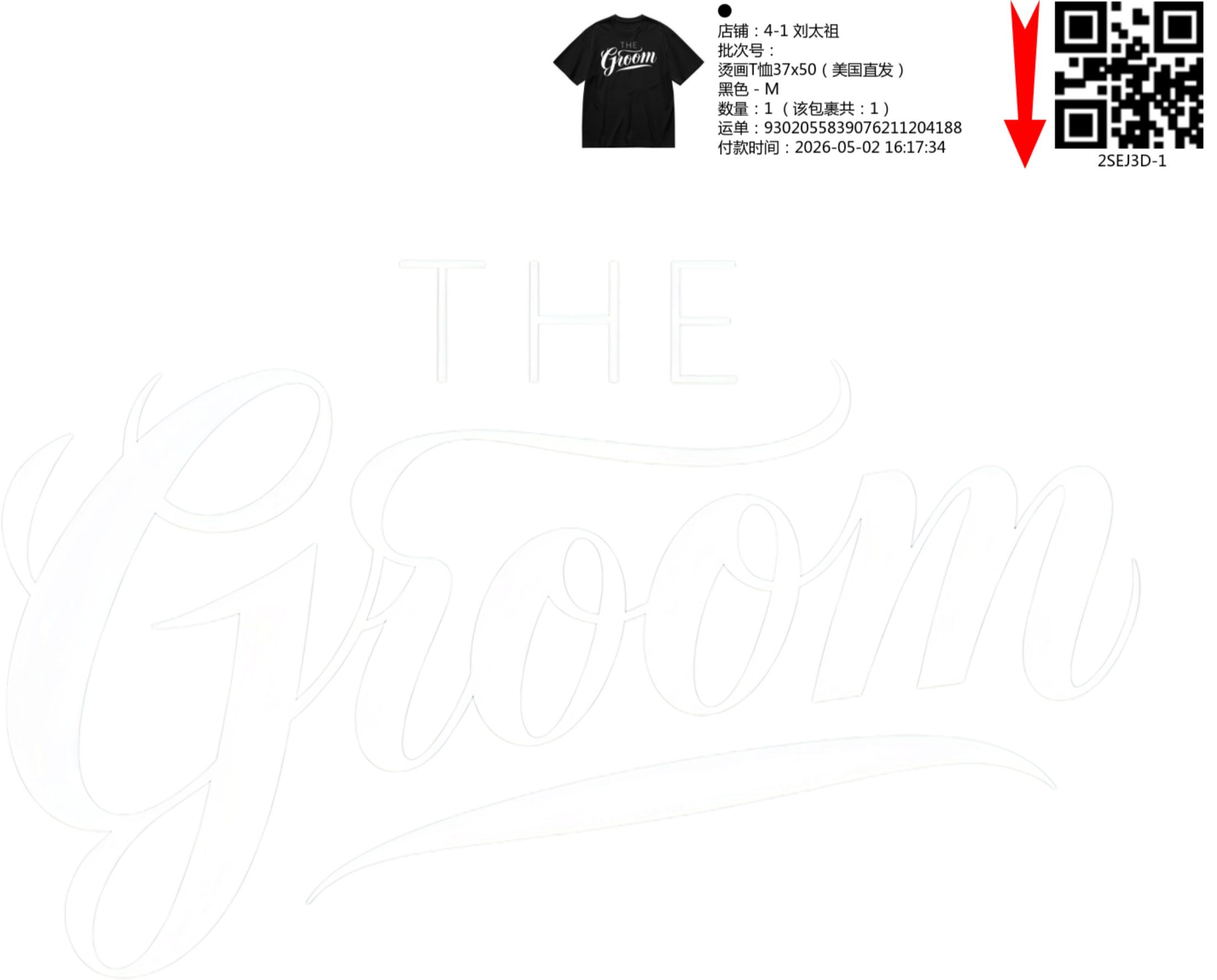 Short Sleeves Graphic T-Shirt