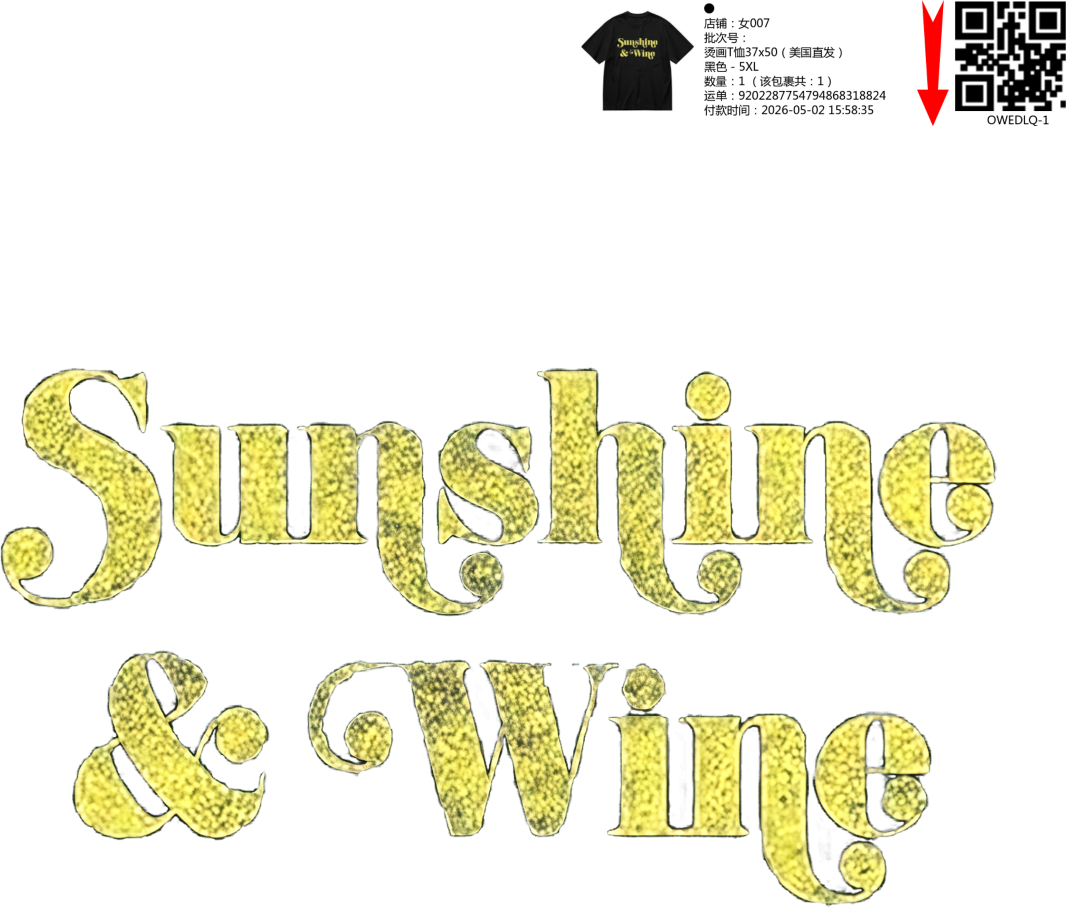 Short Sleeves Graphic T-Shirt