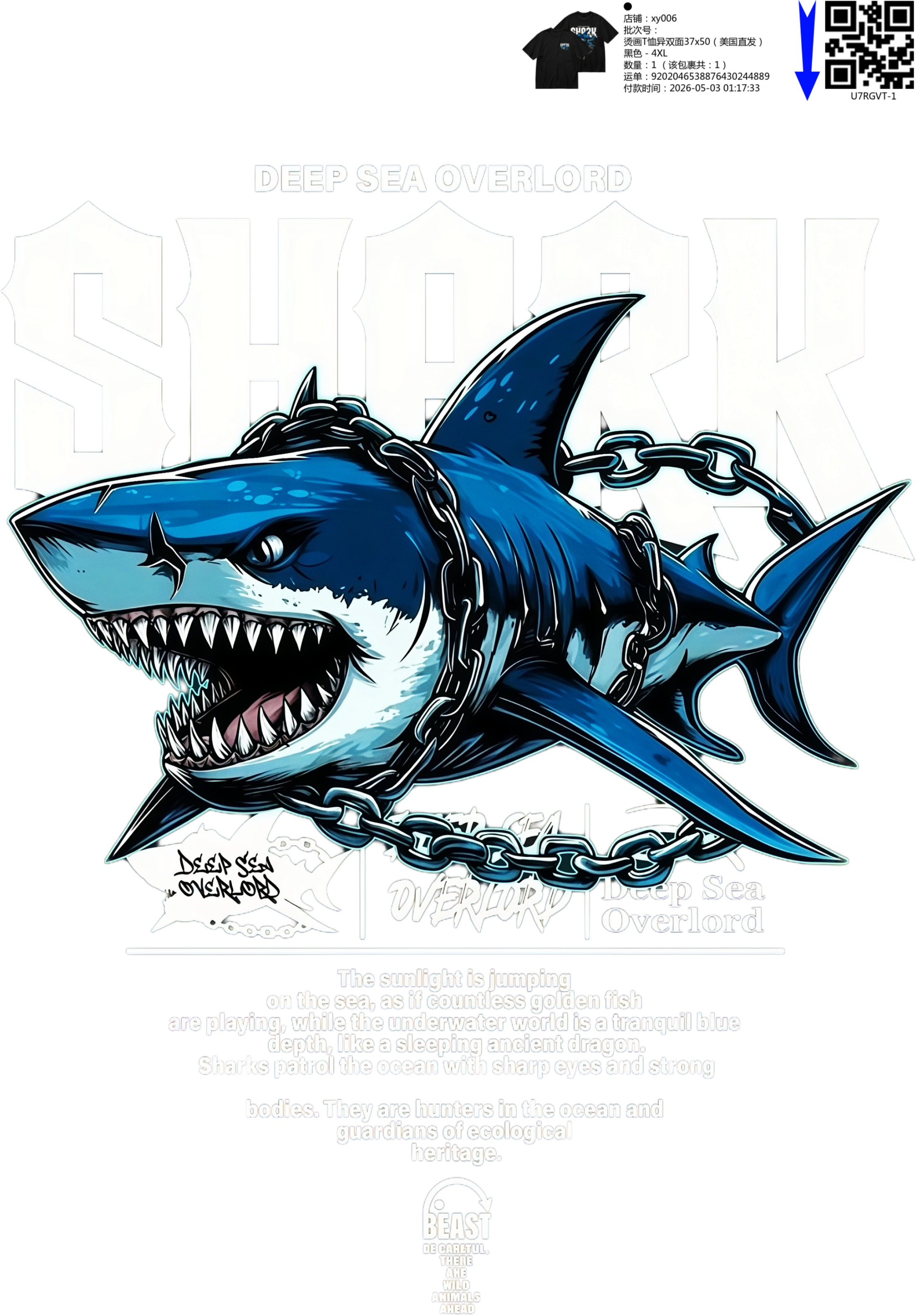 Short Sleeves Graphic T-Shirt