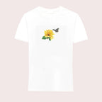 B-P5-26-WHT