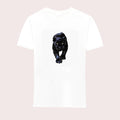 B-P6-23-WHT
