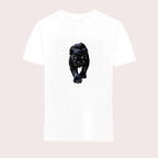 B-P6-23-WHT