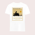 P5-291-WHT