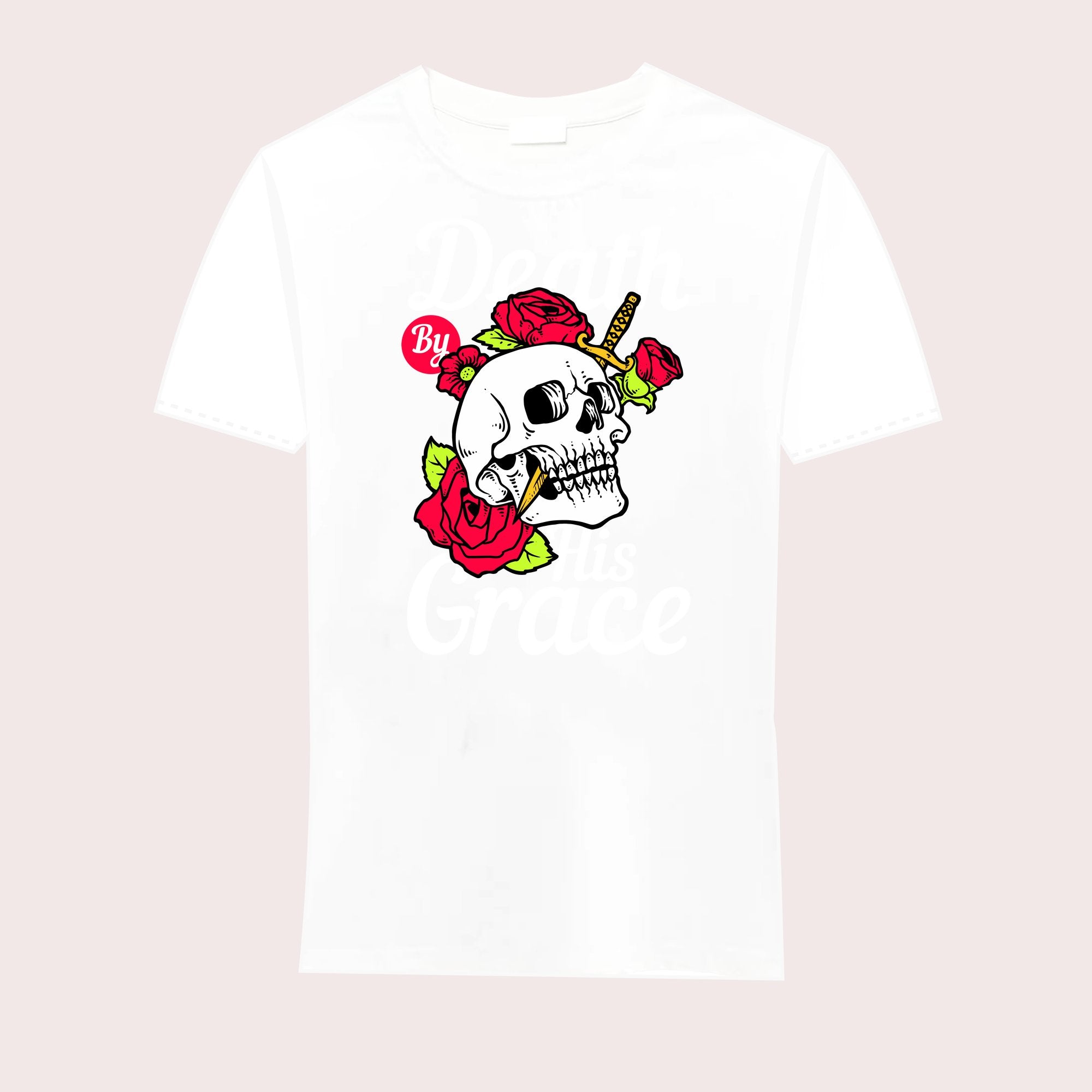 P6-480-WHT