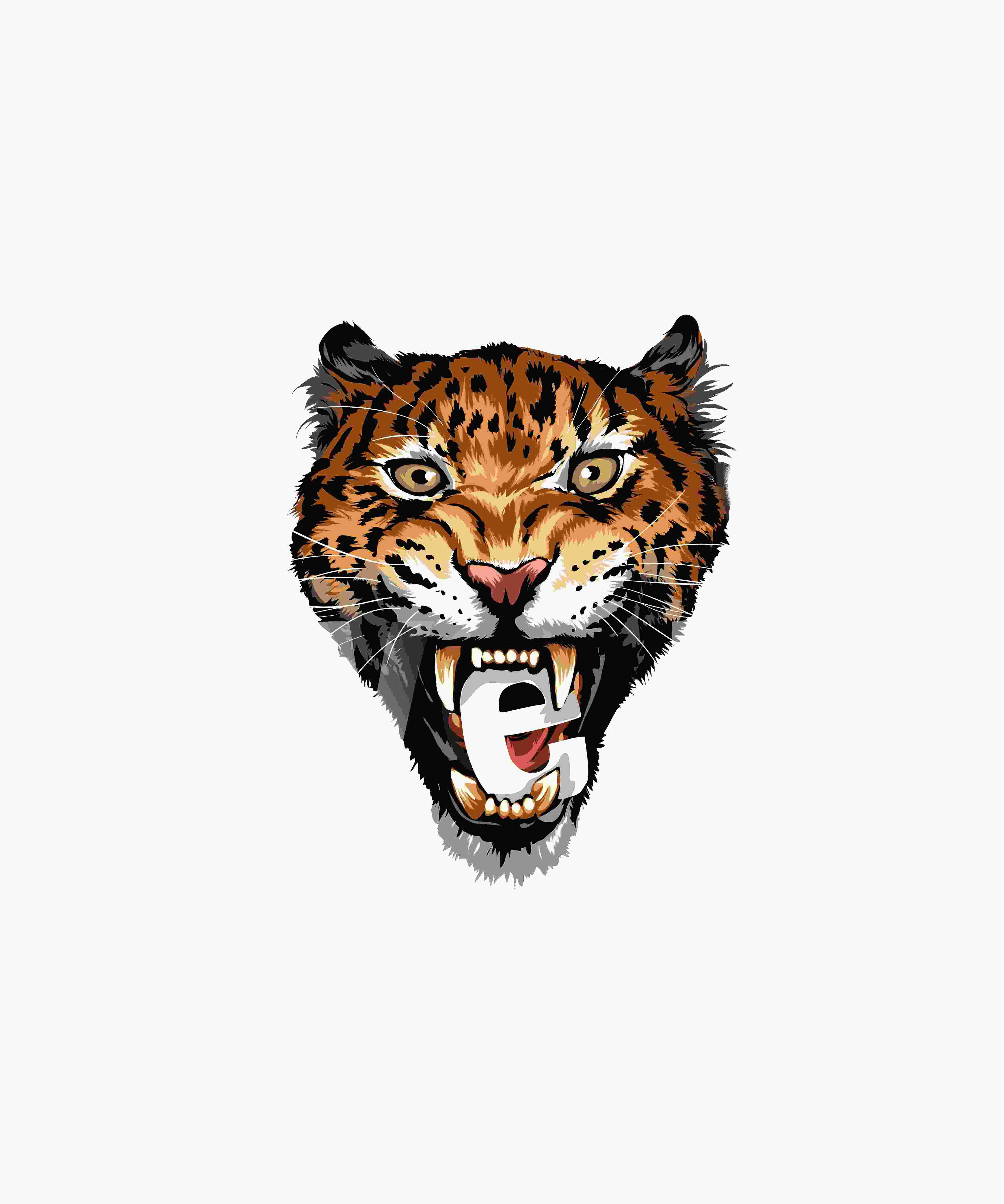 Short Sleeves Graphic T-Shirt