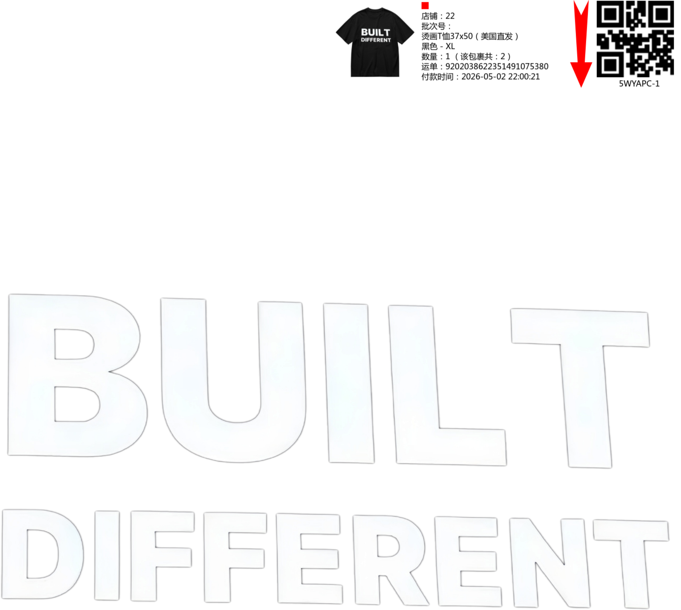 Short Sleeves Graphic T-Shirt